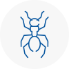 Ant Removals In Nelson