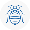 Bed Bug Extermination In Nelson