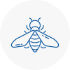 Bee Nest Removal Nelson