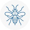 Nelson Hornet Nest Removals