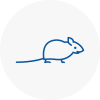 Mice Exterminators In Nelson