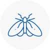 Moth Control Specialists In Nelson