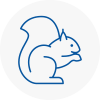 Nelson Rodent Removals