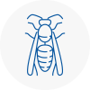 Nelson Wasp Nest Removal